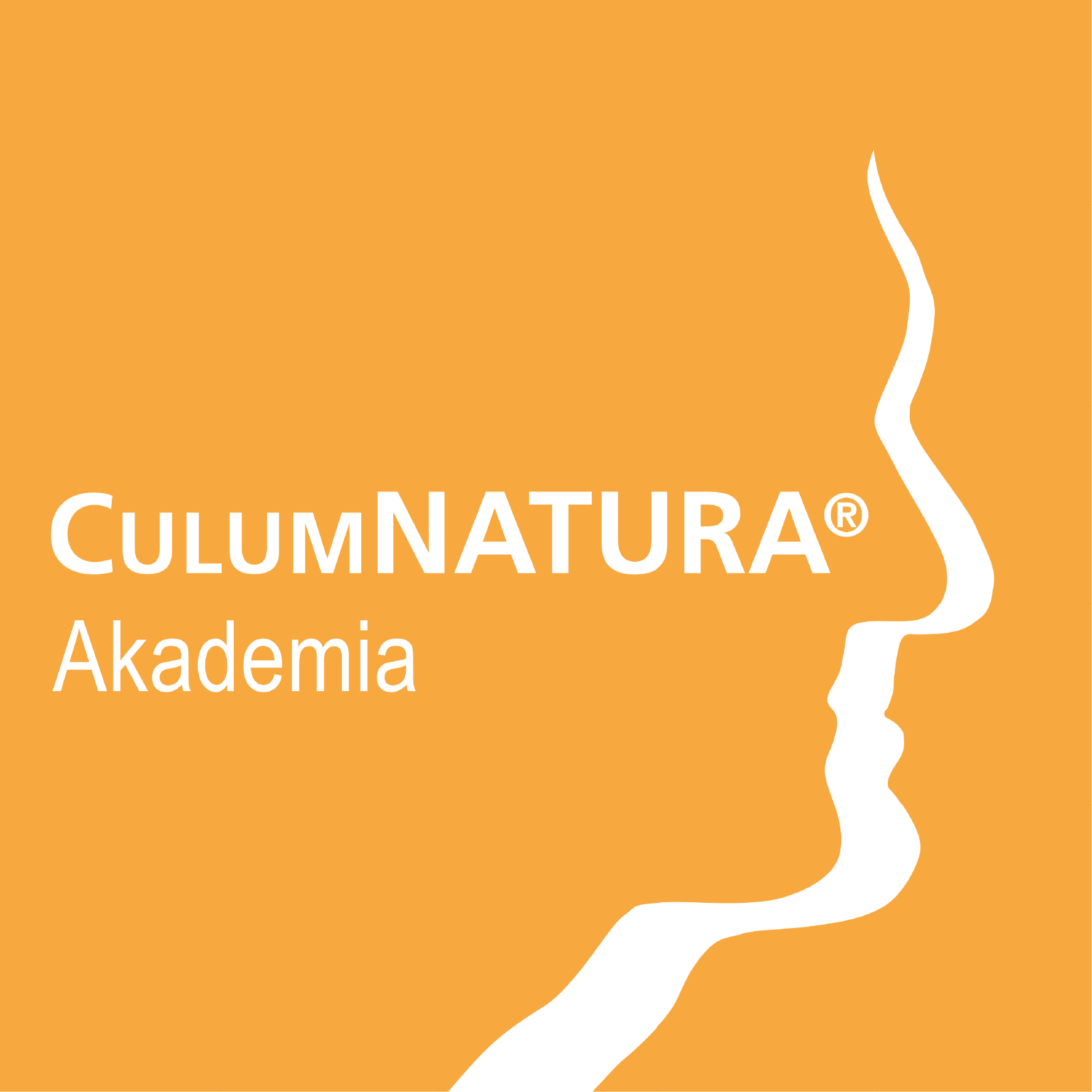 Logo-Akademie-522x330